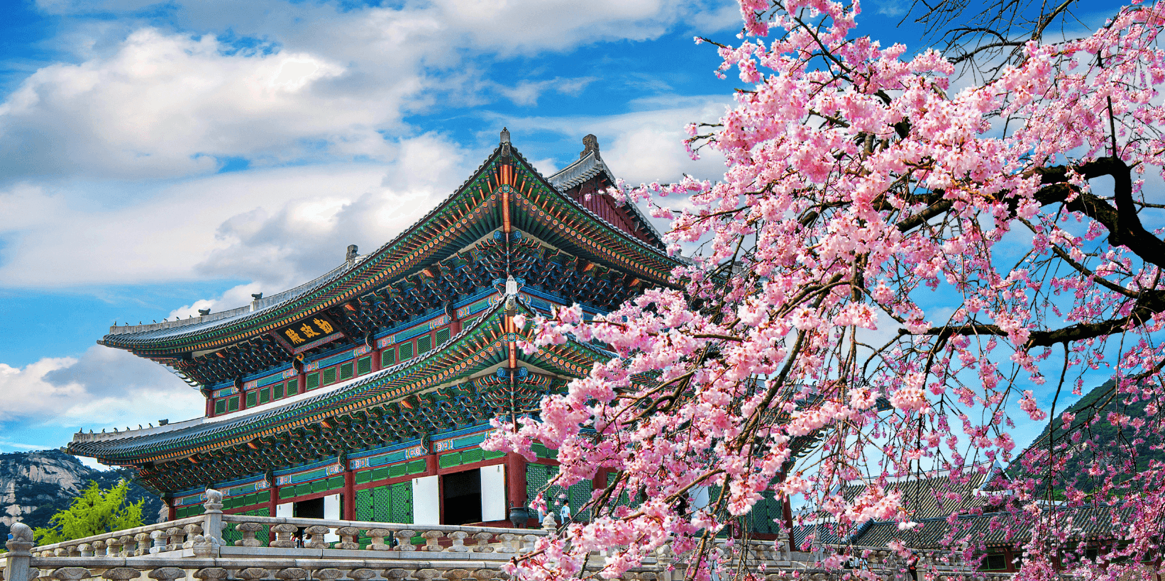 10-Day Japan, South Korea & North Korea - Image 7