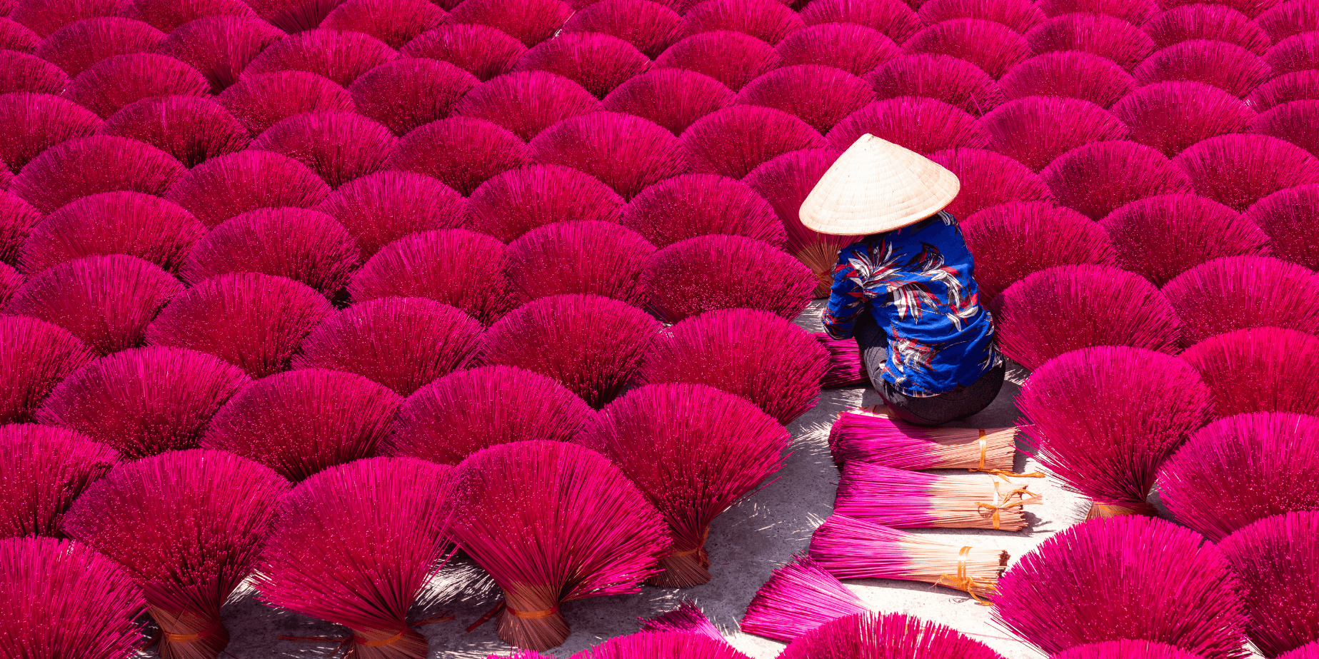 7-Day Vietnam Explorer: Da Nang, Hoi An & Ha Long Bay - Image 10