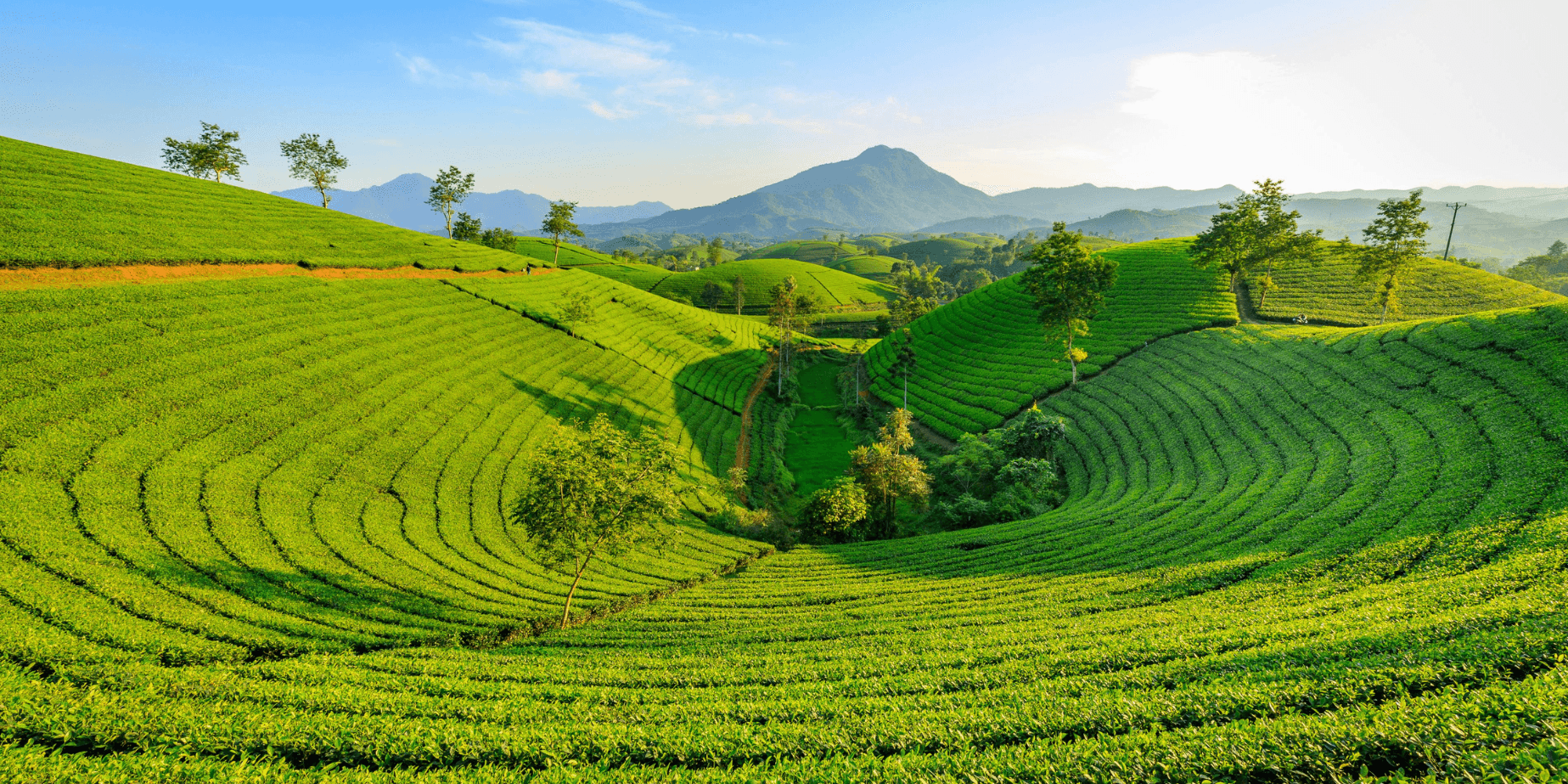 7-Day Vietnam Explorer: Da Nang, Hoi An & Ha Long Bay - Image 3