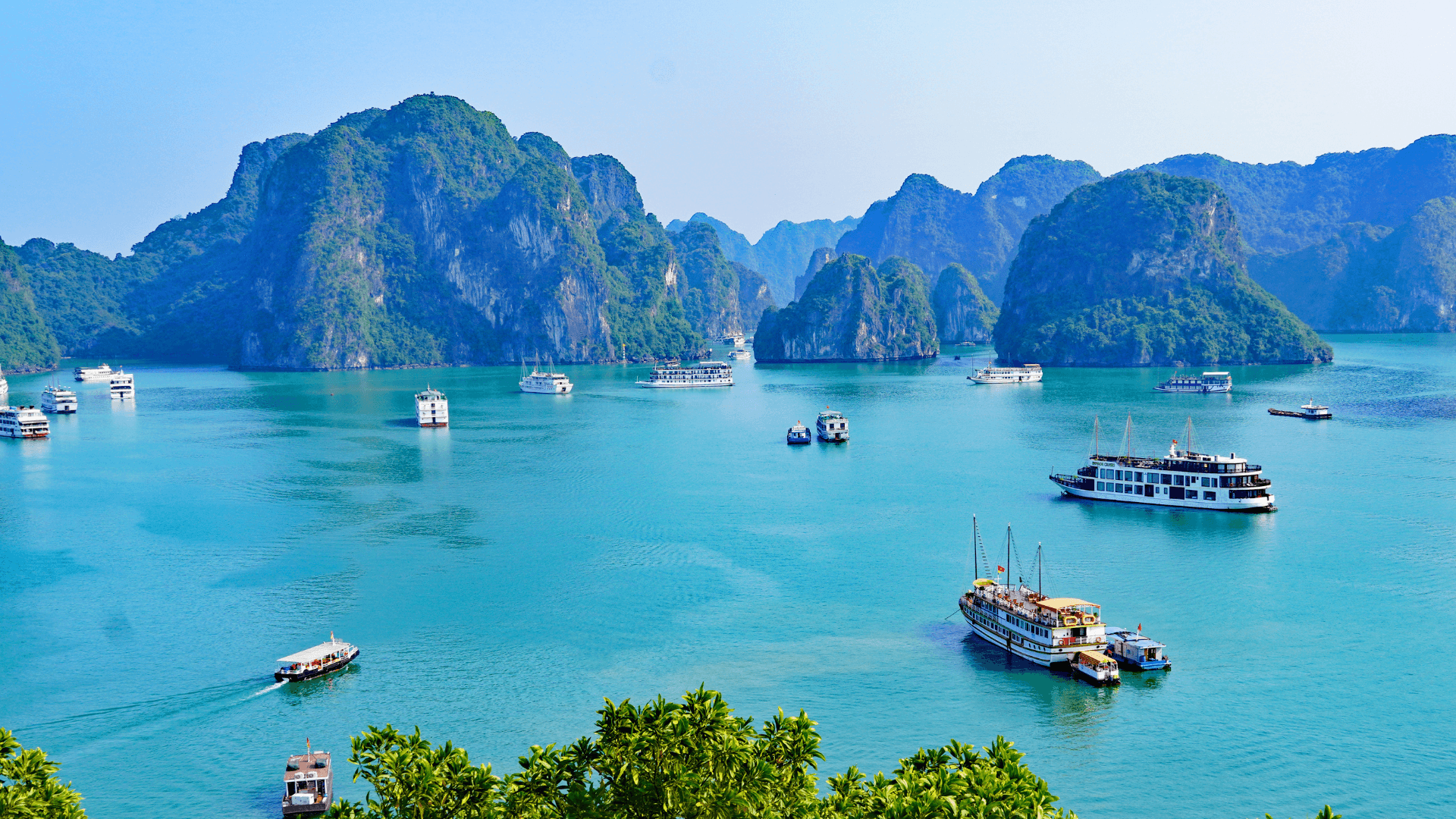7-Day Vietnam Explorer: Da Nang, Hoi An & Ha Long Bay - Image 8