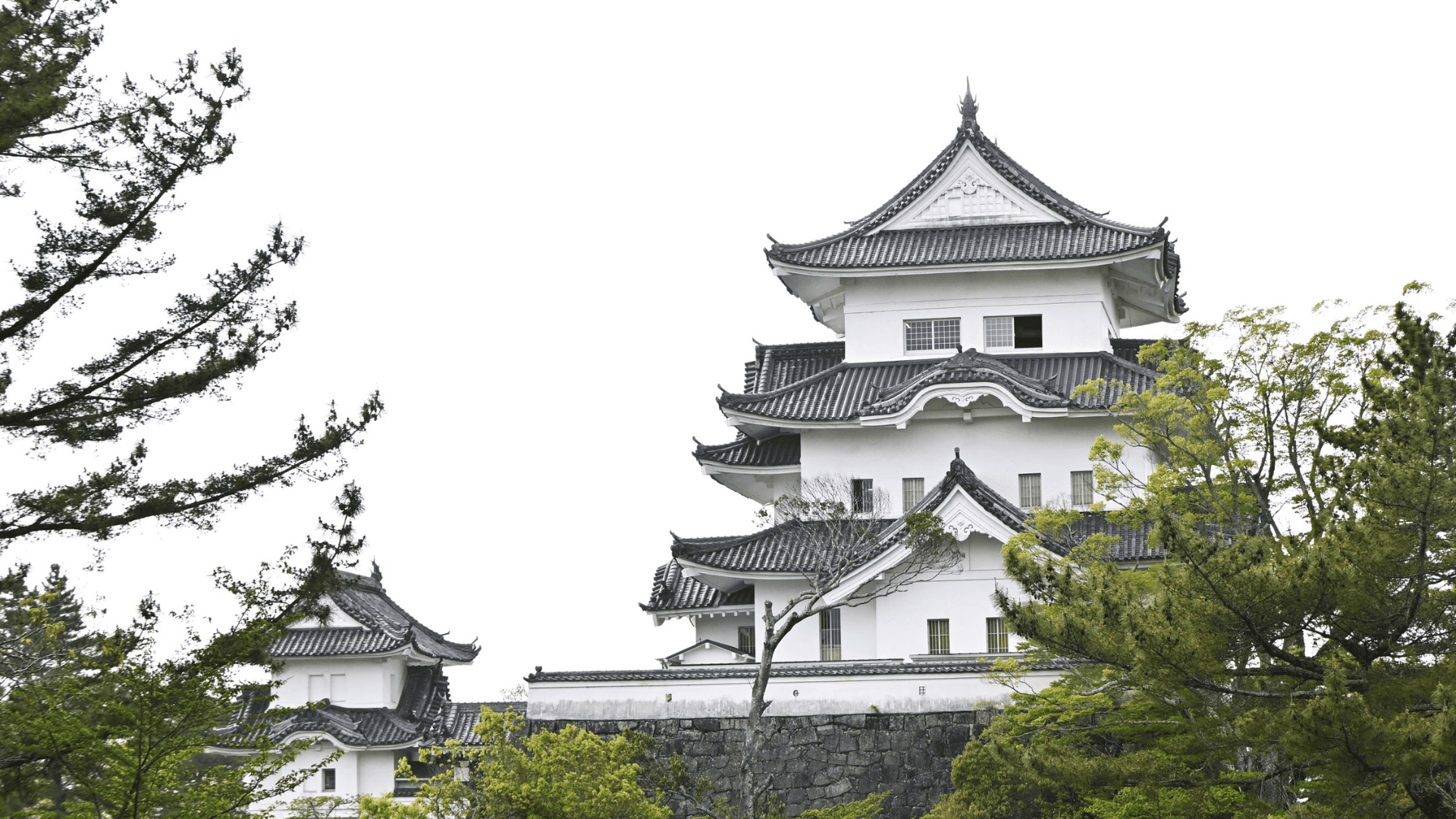 8-Day Japan Highlights Tokyo to Osaka - Image 4