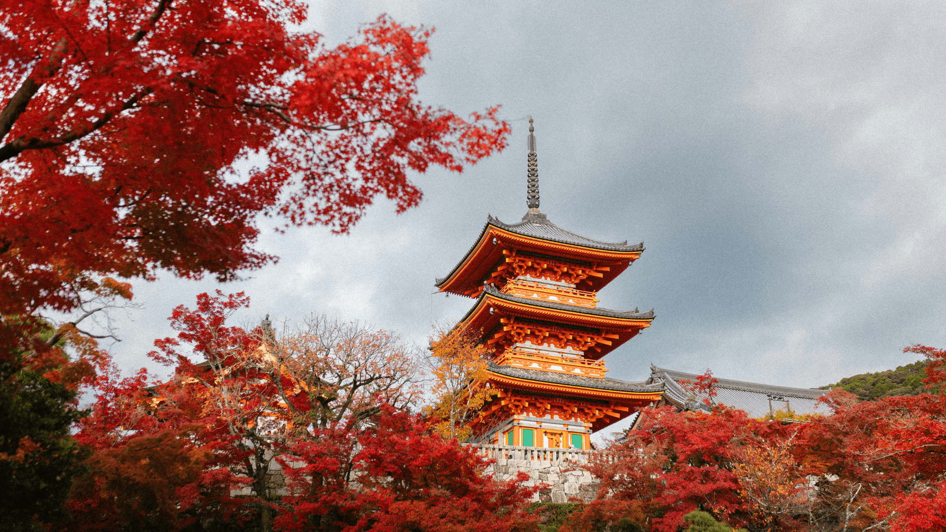 8-Day Japan Highlights Tokyo to Osaka - Image 5