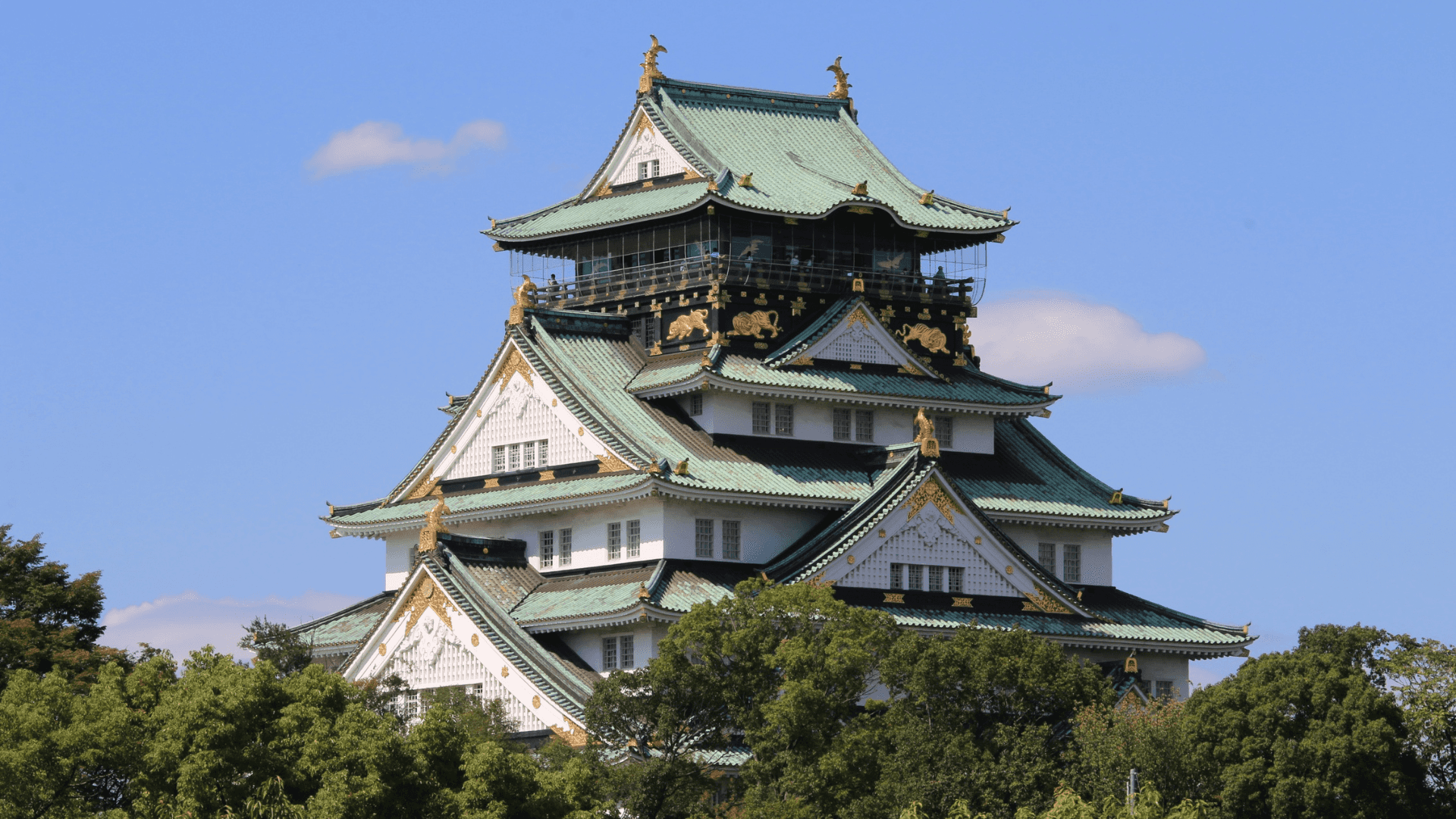 8-Day Japan Highlights Tokyo to Osaka - Image 8