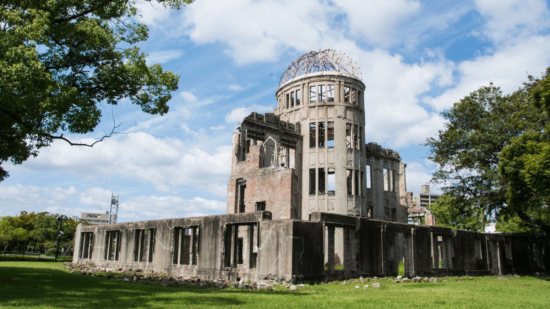 8-Day Japan Highlights Tokyo to Osaka - Image 9