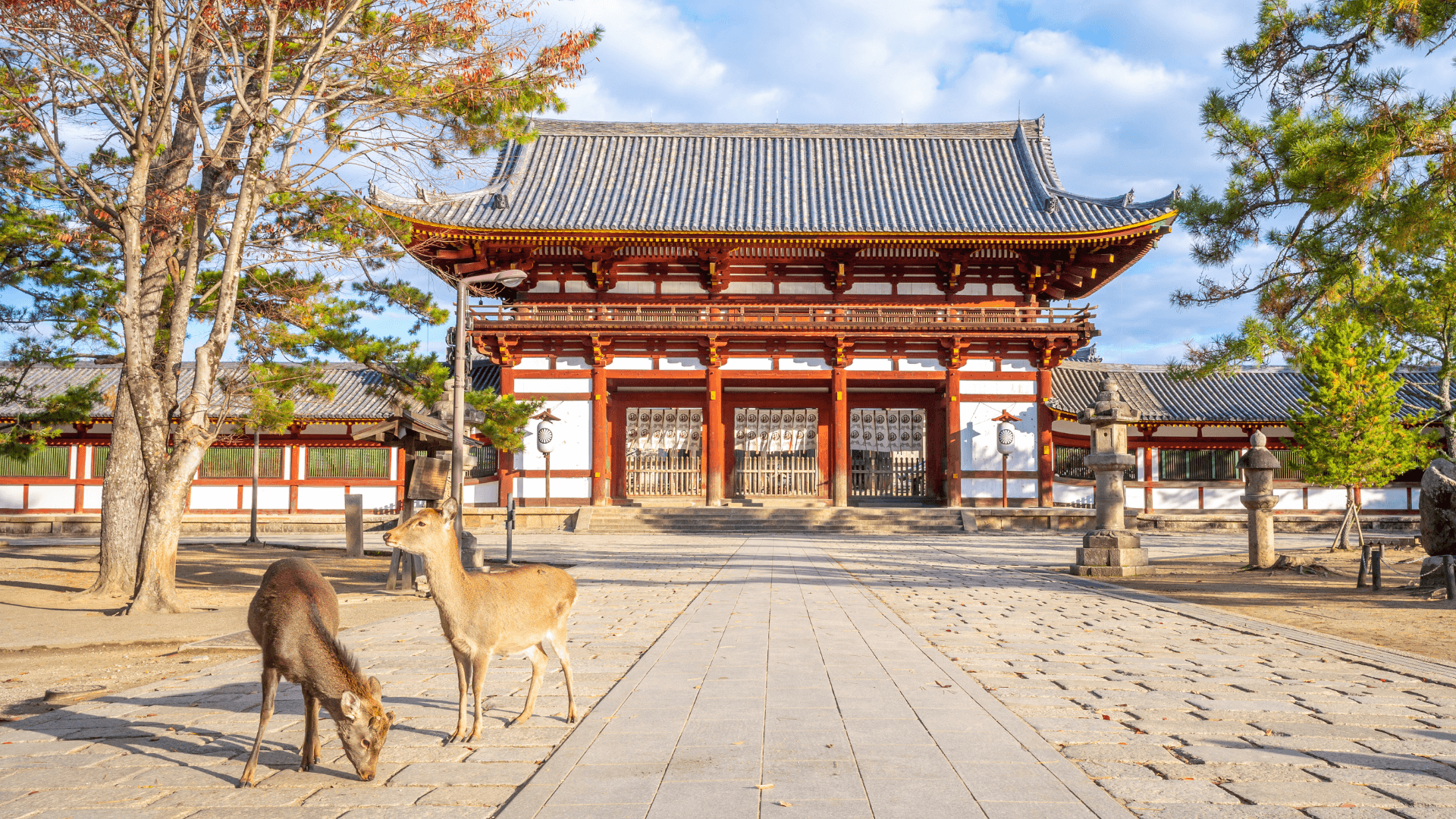 8-Day Japan Highlights Tokyo to Osaka - Image 7