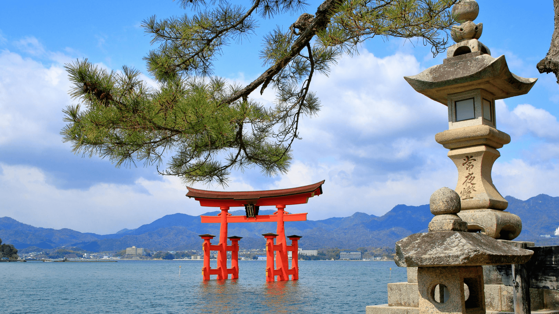 8-Day Japan Highlights Tokyo to Osaka - Image 10