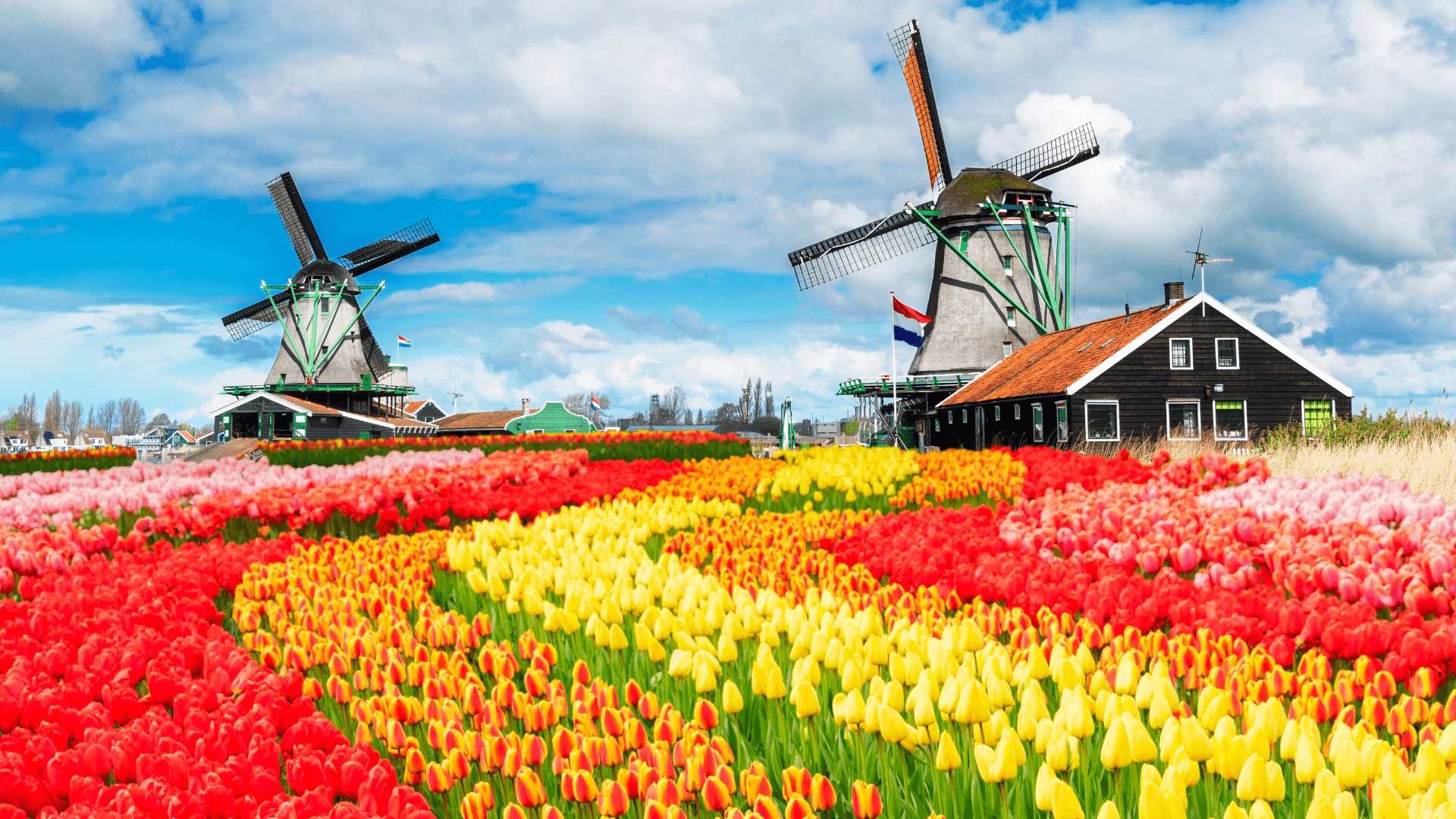 12-Day European Highlights - Image 9