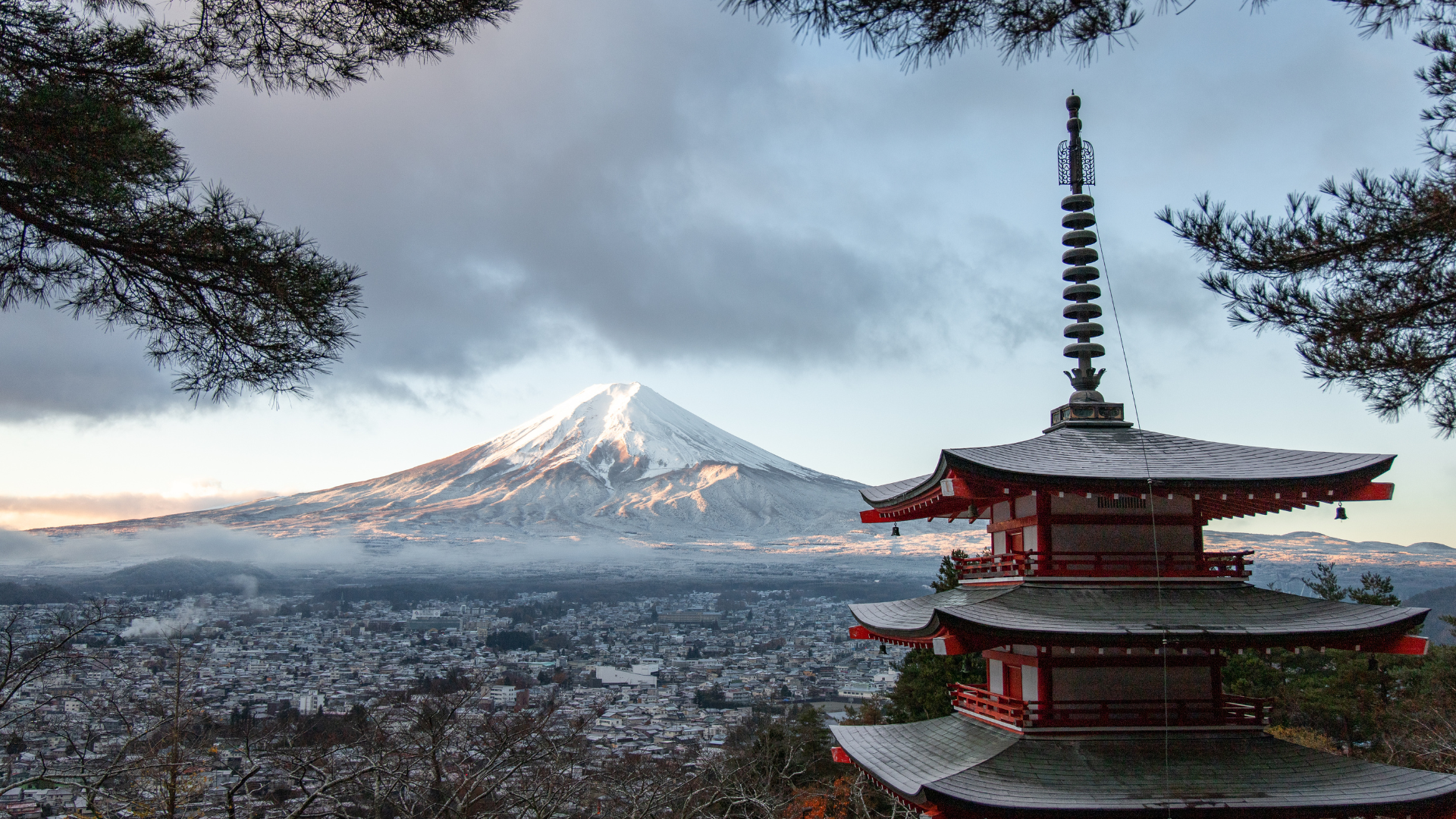 8-Day Ultimate Japan Experience 2026 – From Tokyo’s Modern Wonders to Hiroshima’s Historic Legacy group tour from Bangalore with Flying Passport