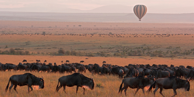 6-Day Wildlife and Nature Safari in Kenya – Discover Nairobi, Masai Mara & Lake Naivasha – photo 7