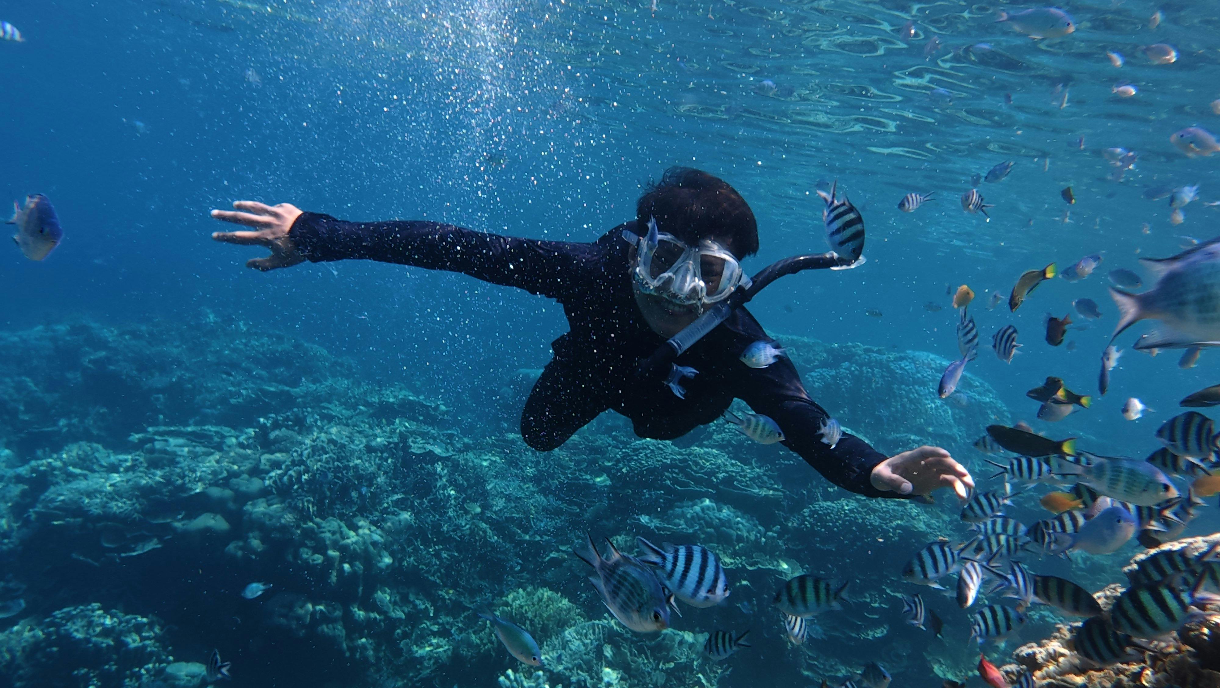 4-Day Maldives Tour 2026 – Shark Bay, Sunset Fishing & Island Escape from Bangalore group tour from Bangalore with Flying Passport