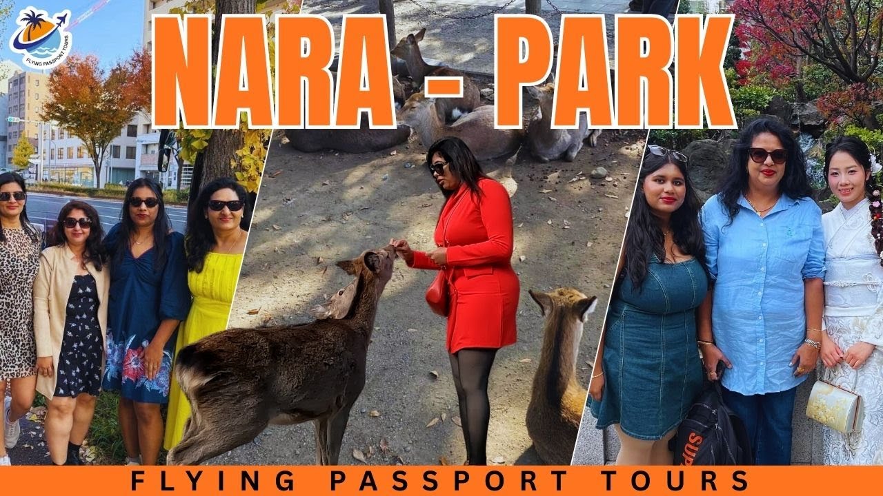 ಜಪಾನ್‌ನ ನಾರಾ ಪಾರ್ಕ್ 😍 | ಜಿಂಕಗಳ ನಿಜವಾದ ಲೋಕ 🦌