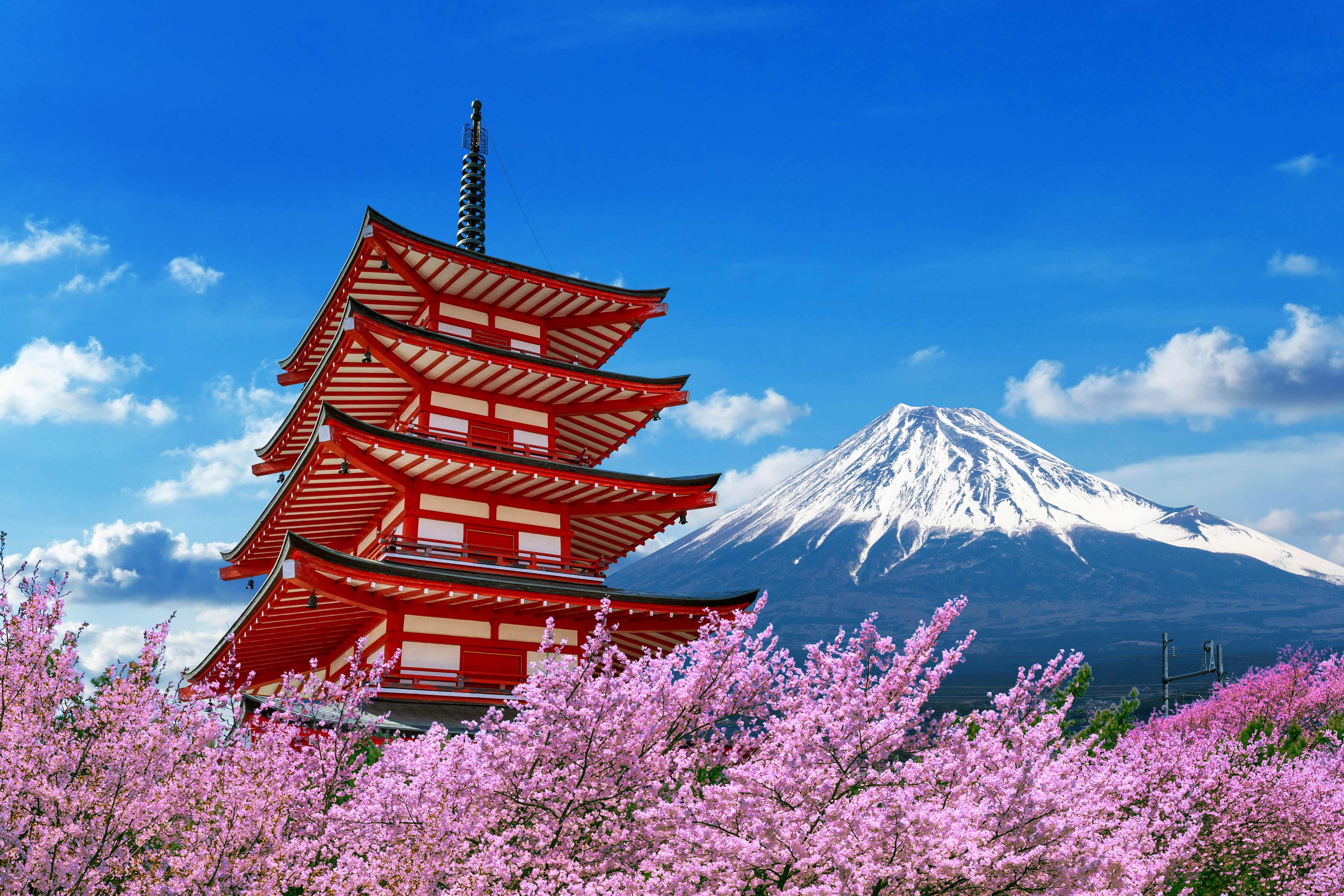 Japan Cherry Blossom group tour with Flying Passport