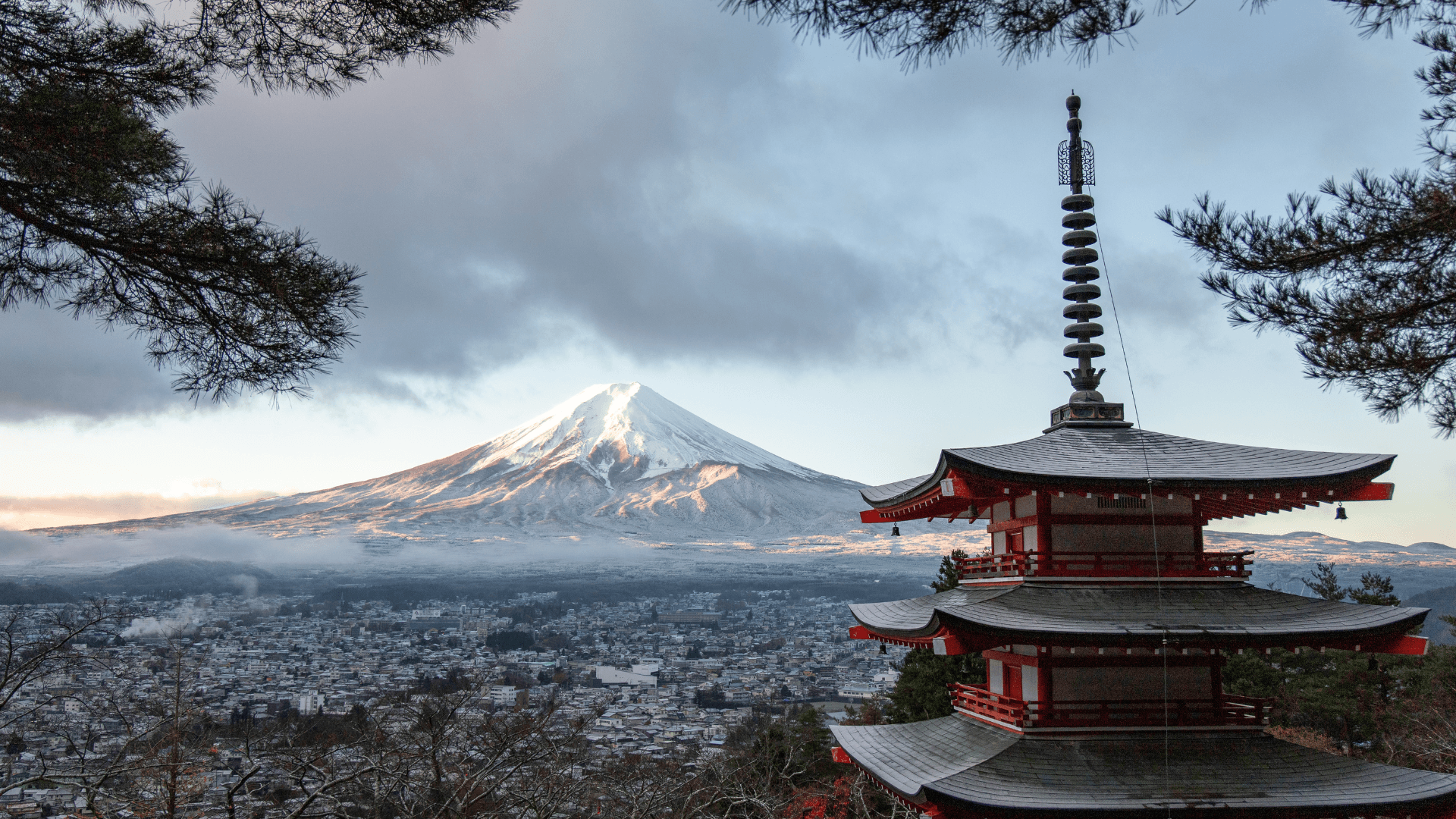8-Day Japan Highlights: Tokyo to Osaka group tour from Bangalore with Flying Passport